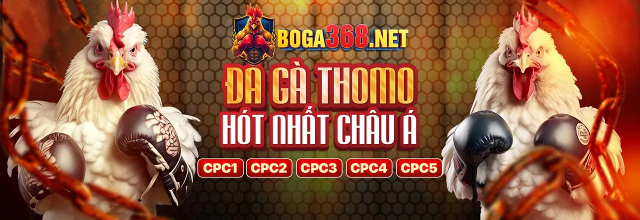 Đấu gà kịch tính tại 6789win